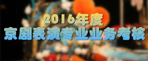 激情视是频啊啊啊啊啊不国家京剧院2016年度京剧表演专业业务考...